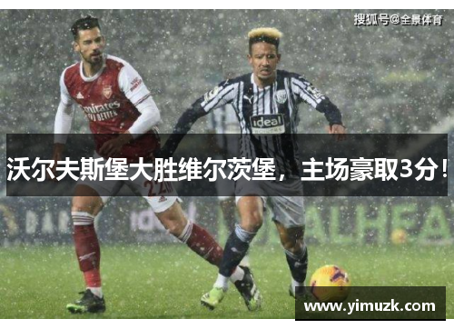 沃尔夫斯堡大胜维尔茨堡，主场豪取3分！