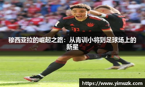 zoty中欧官网